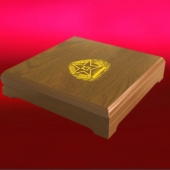 2013年12月：定制空軍航空兵42師戰(zhàn)友聚會榮譽獎章