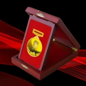 2015年12月訂制　中建八局進粵十五周年金質(zhì)獎章訂制