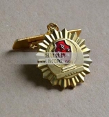 公安部一級(jí)英模勛章,一級(jí)英模獎(jiǎng)?wù)?公安部三等功勛章